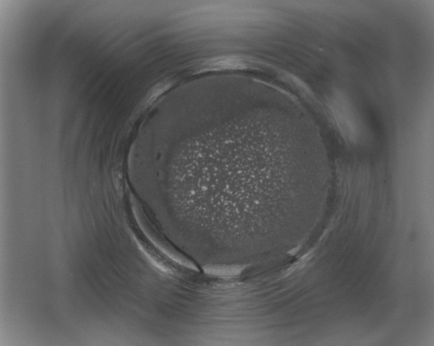 X0000068301225200604241328