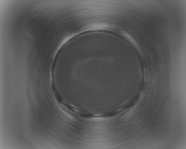 X0000068301226200604241328