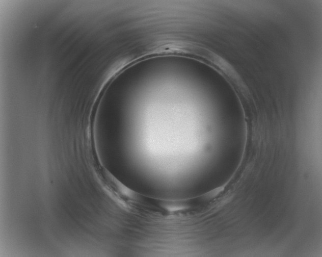 X0000068301234200604241328