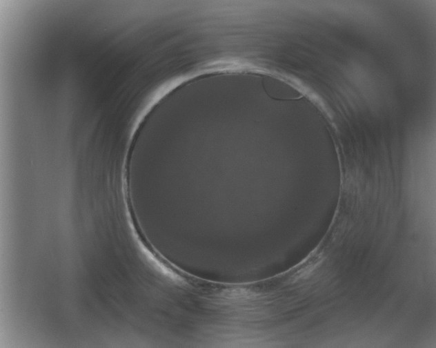 X0000068301239200604241328
