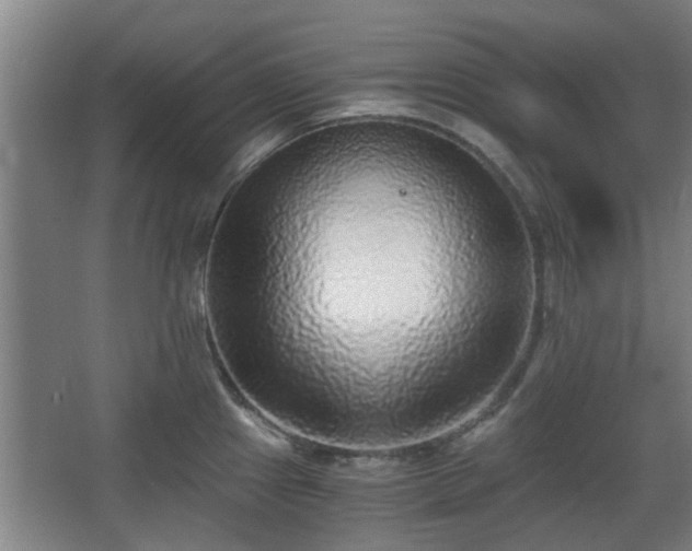 X0000068301241200604241329