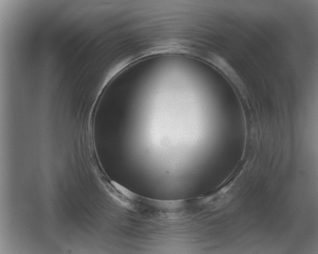X0000068301242200604241329