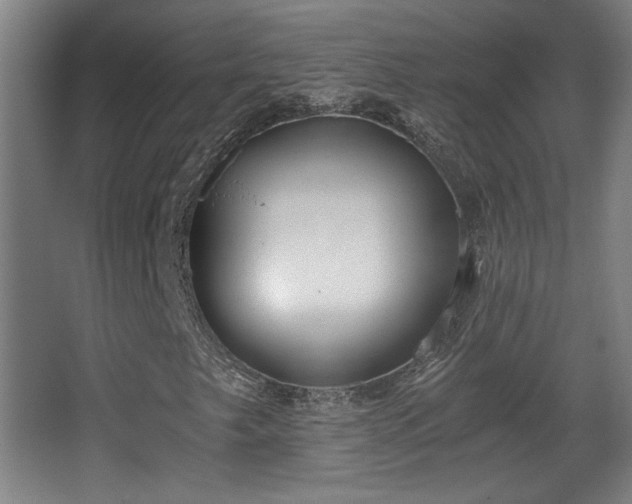 X0000068301249200604241328