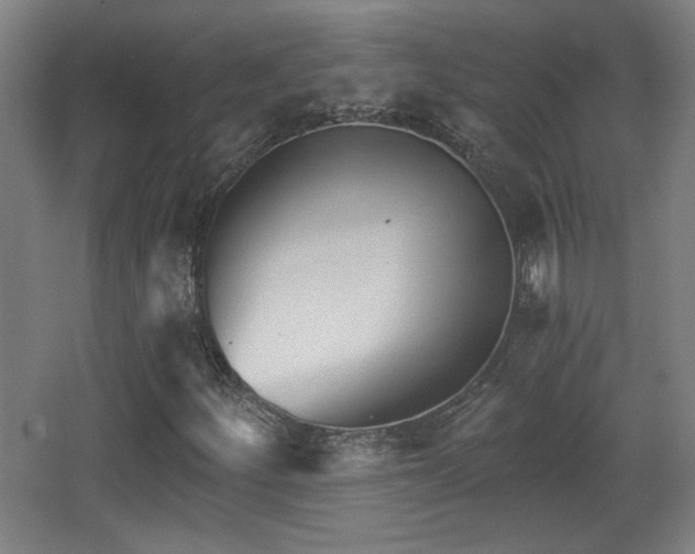 X0000068301252200604241328