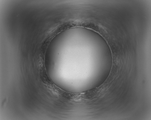 X0000068301253200604241328