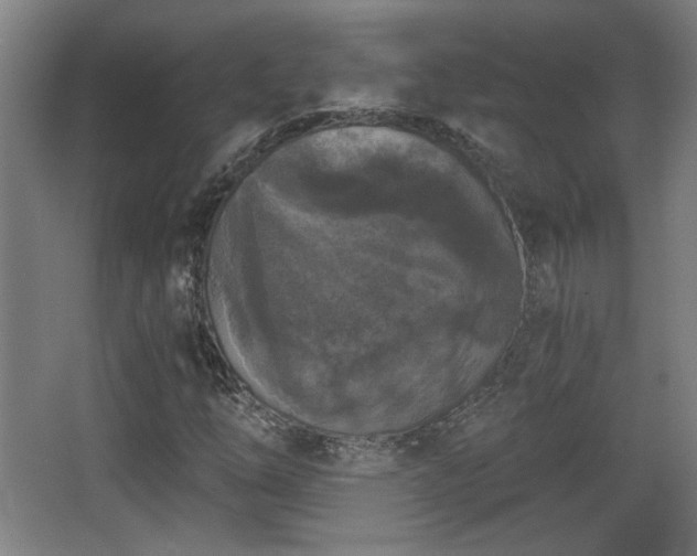 X0000068301254200604241328