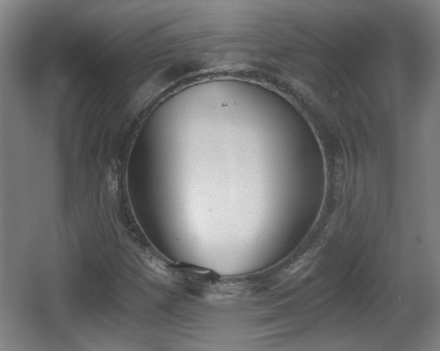 X0000068301257200604241328