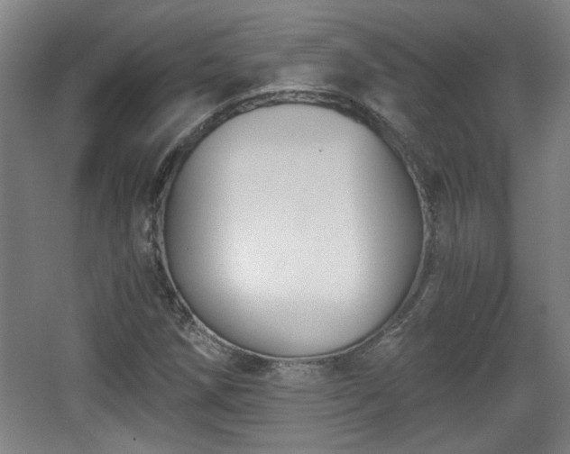 X0000068301258200604241328