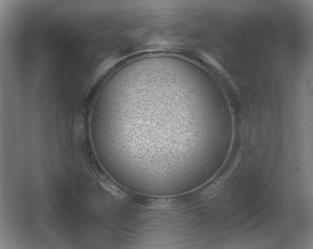 X0000068301259200604241328