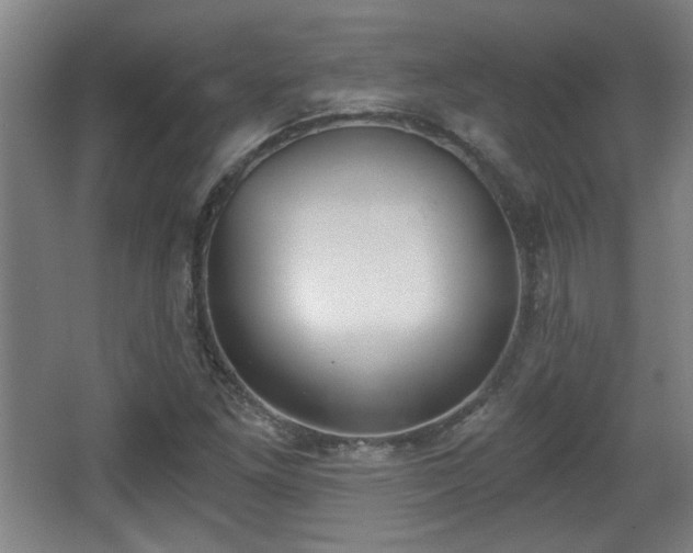 X0000068301261200604241328