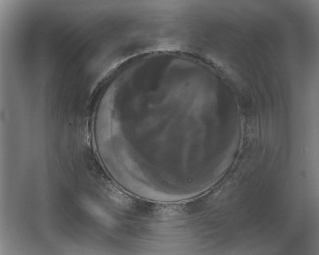 X0000068301262200604241328