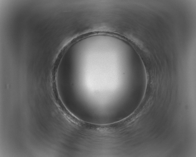 X0000068301264200604241328