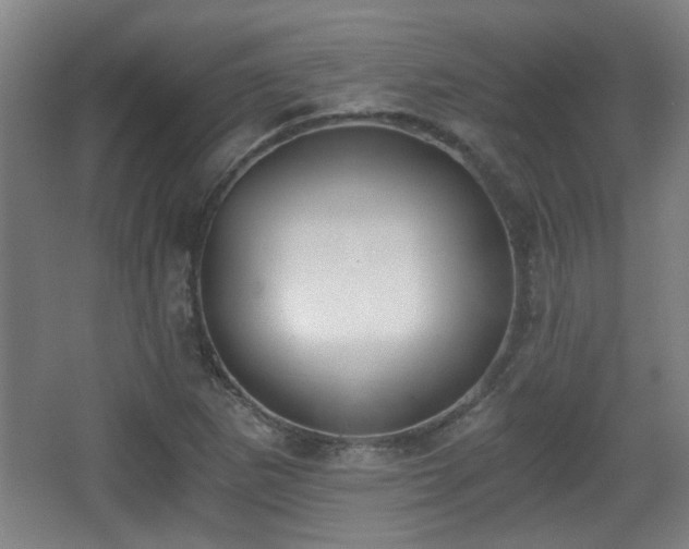 X0000068301265200604241328