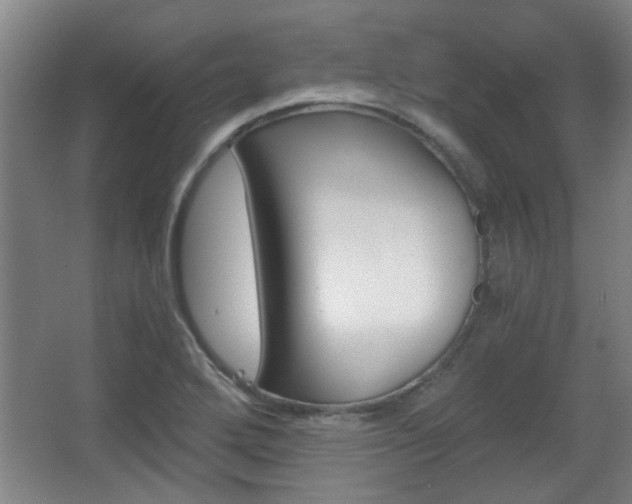 X0000068301272200604241327