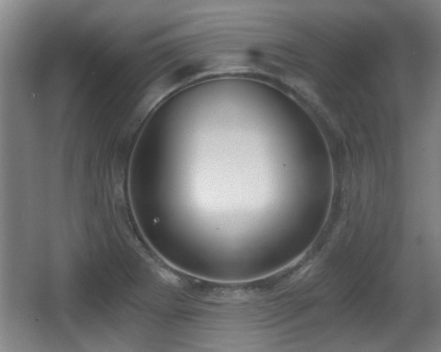 X0000068301273200604241327