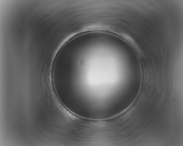 X0000068301288200604241327