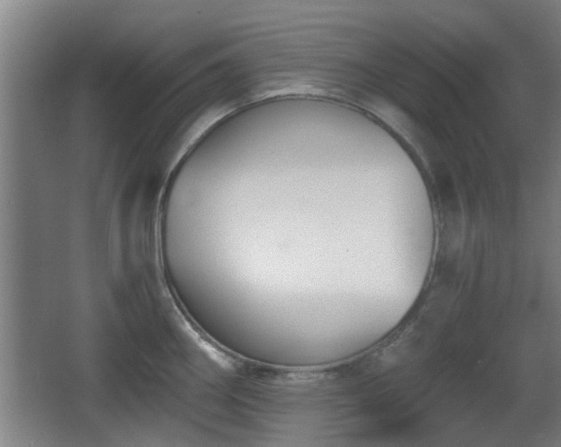 X0000068301290200604241327