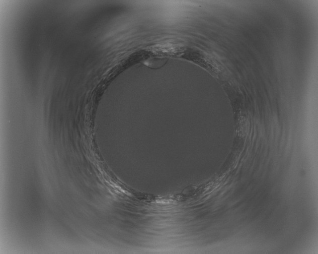 X0000068301297200604241326