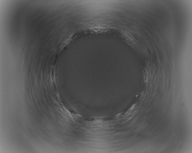 X0000068301298200604241326