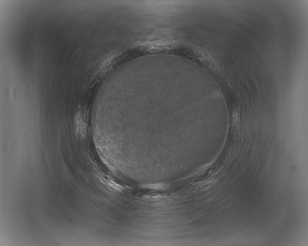 X0000068301300200604241326