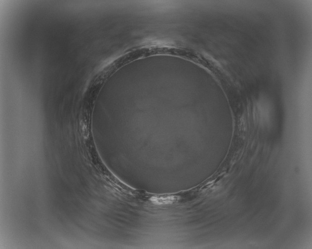 X0000068301303200604241326