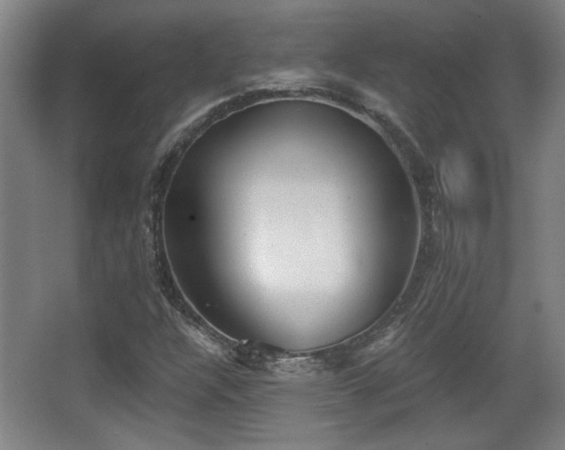 X0000068301304200604241326