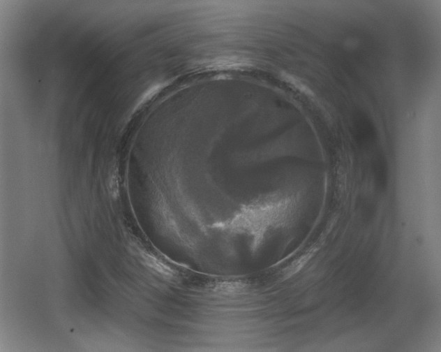 X0000068301306200604241326