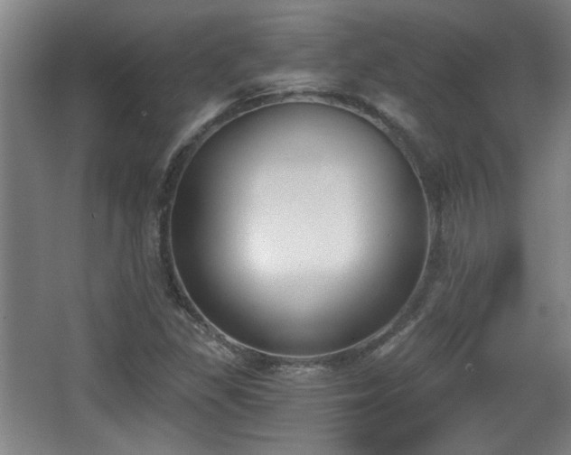 X0000068301309200604241326