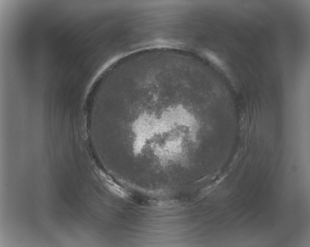 X0000068301310200604241326