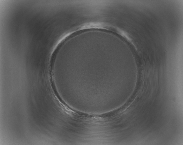 X0000068301312200604241326