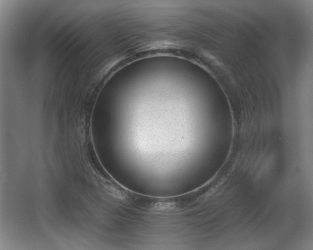 X0000068301313200604241326