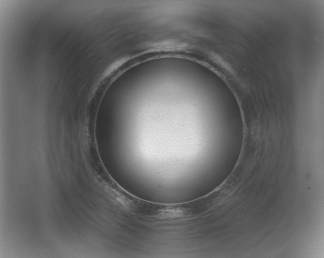 X0000068301315200604241326