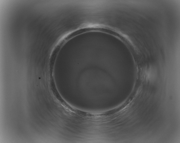 X0000068301319200604241327