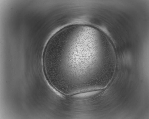 X0000068301335200604241327