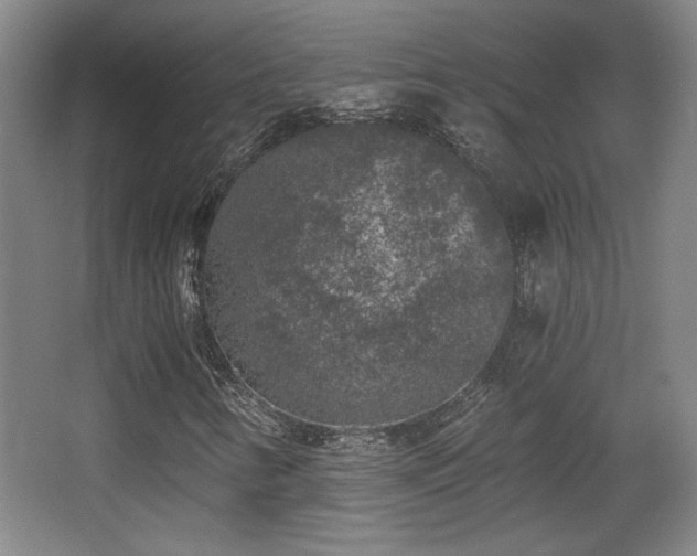 X0000068301346200604241326