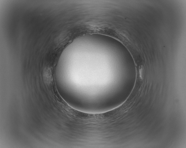 X0000068301347200604241326