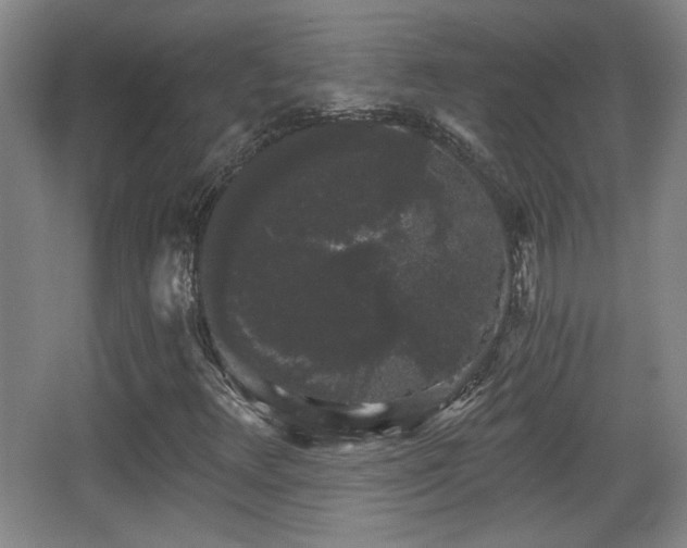 X0000068301348200604241326