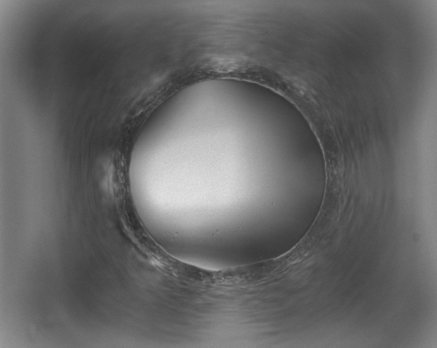 X0000068301349200604241326