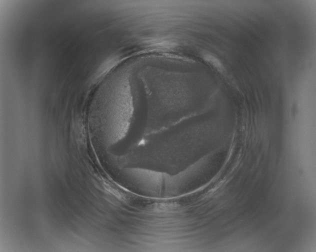 X0000068301354200604241326