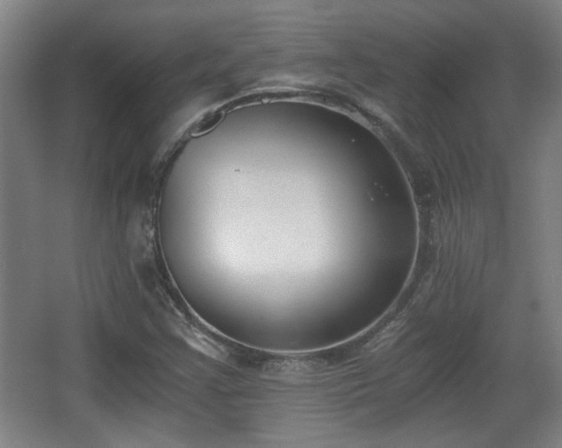 X0000068301355200604241326