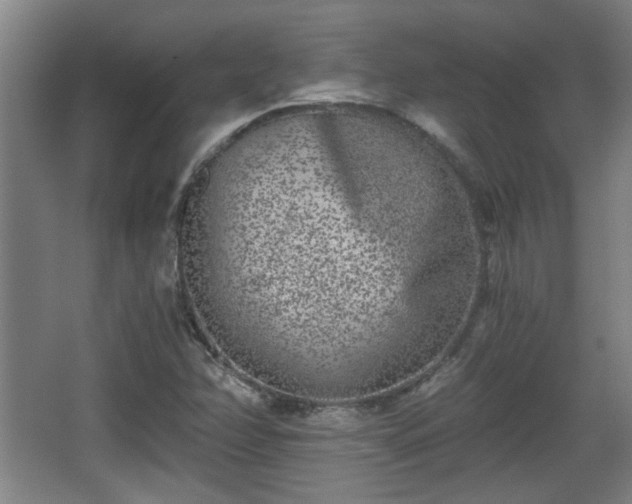 X0000068301358200604241326