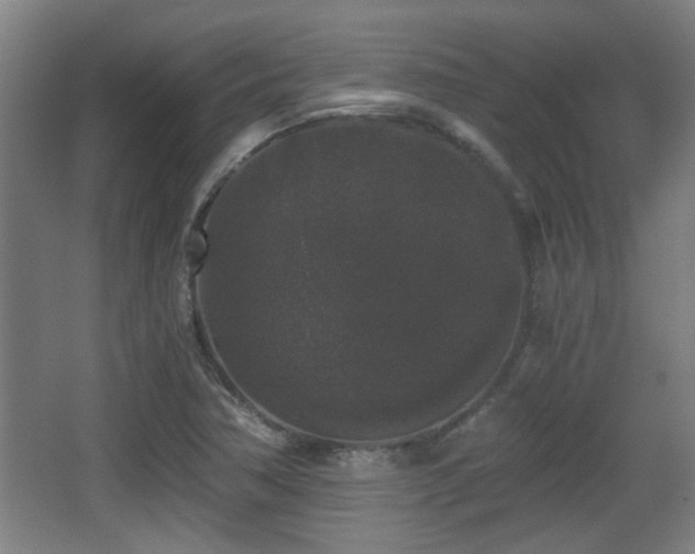 X0000068301362200604241326