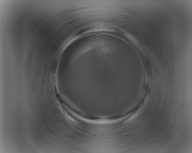 X0000068301369200604241326