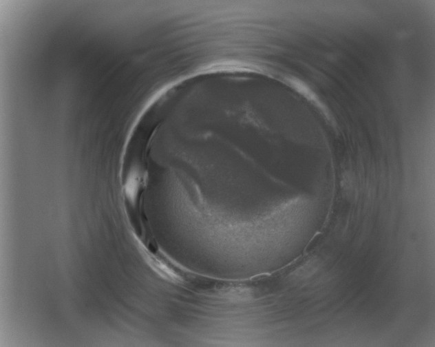 X0000068301372200604241326