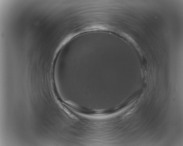 X0000068301373200604241326