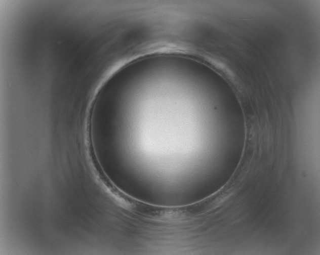 X0000068301375200604241326