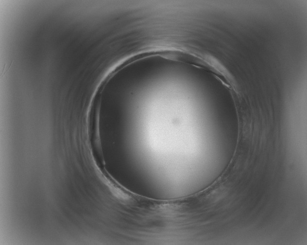 X0000068301380200604241326