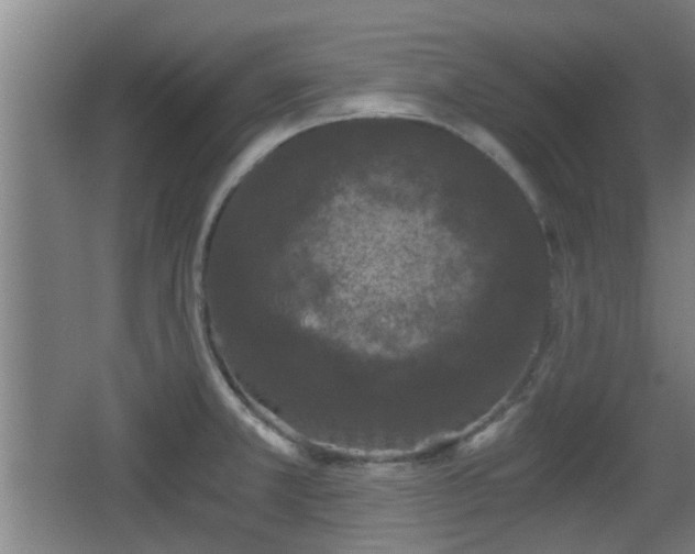 X0000068301381200604241326