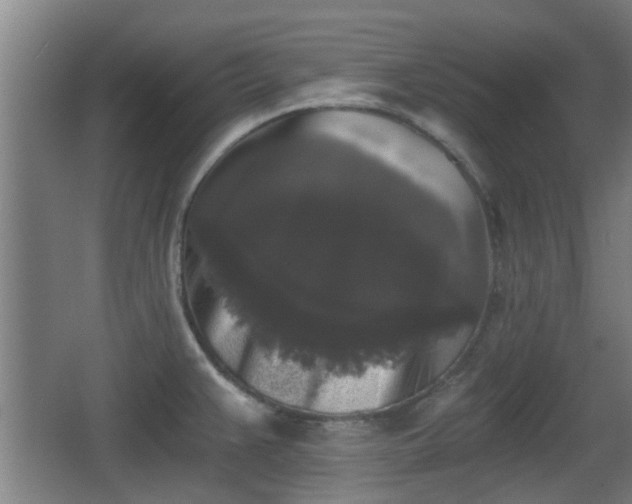X0000068301383200604241326