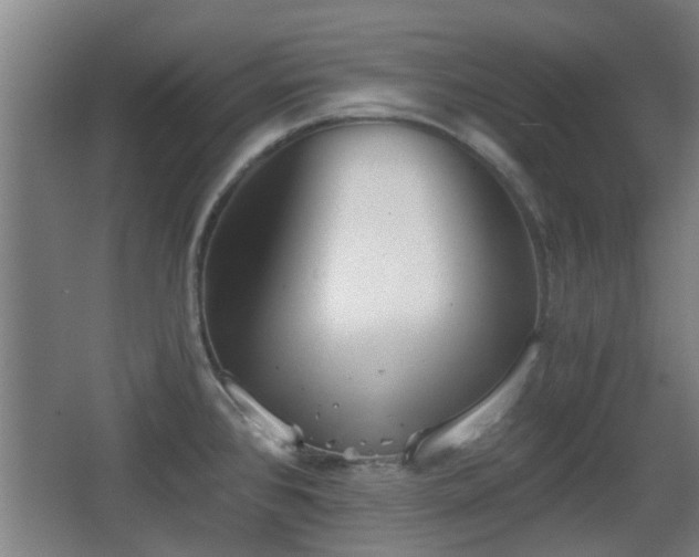 X0000068301384200604241326